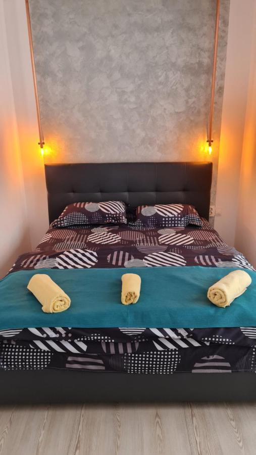 Pomiculturii Residence 4 Τιμισοάρα Εξωτερικό φωτογραφία